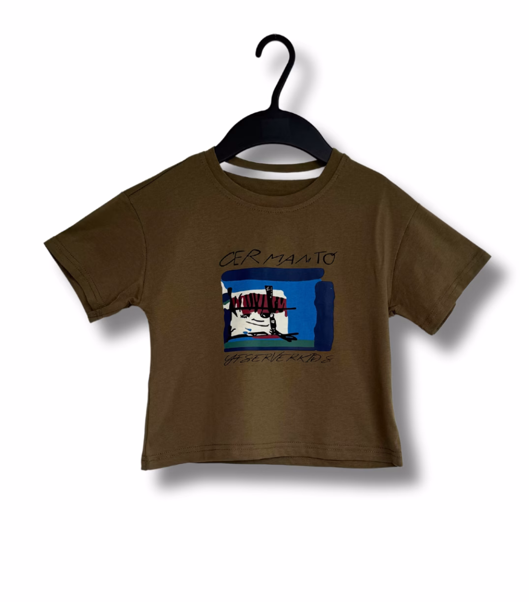Camiseta Estampado